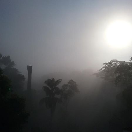 Bee View Home Stay Kandy Luaran gambar