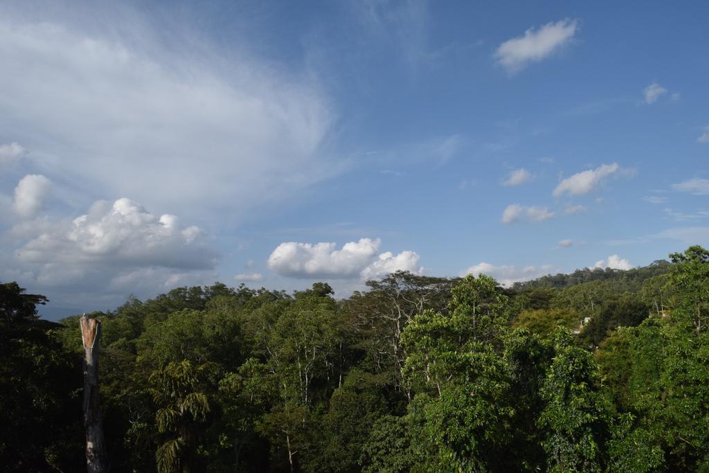 Bee View Home Stay Kandy Luaran gambar