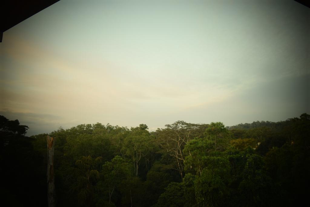 Bee View Home Stay Kandy Luaran gambar